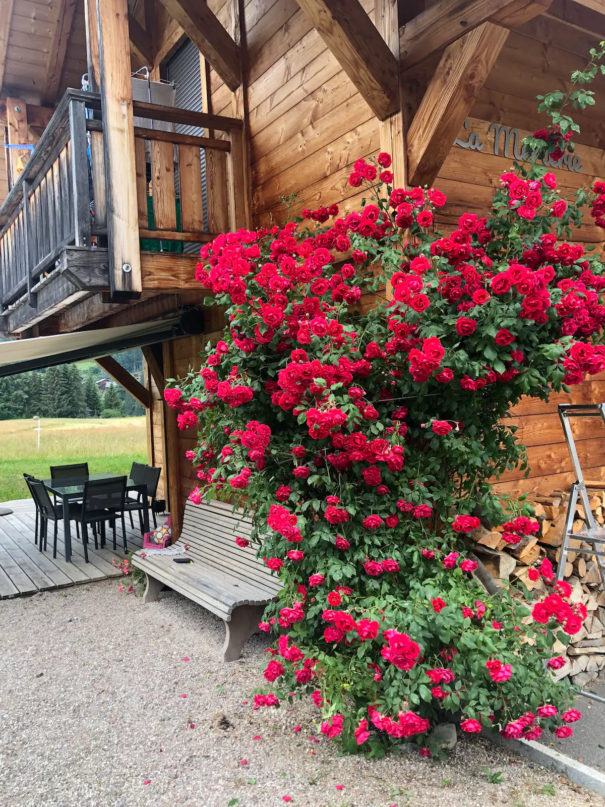 Appartement 8 — jardin (détail)