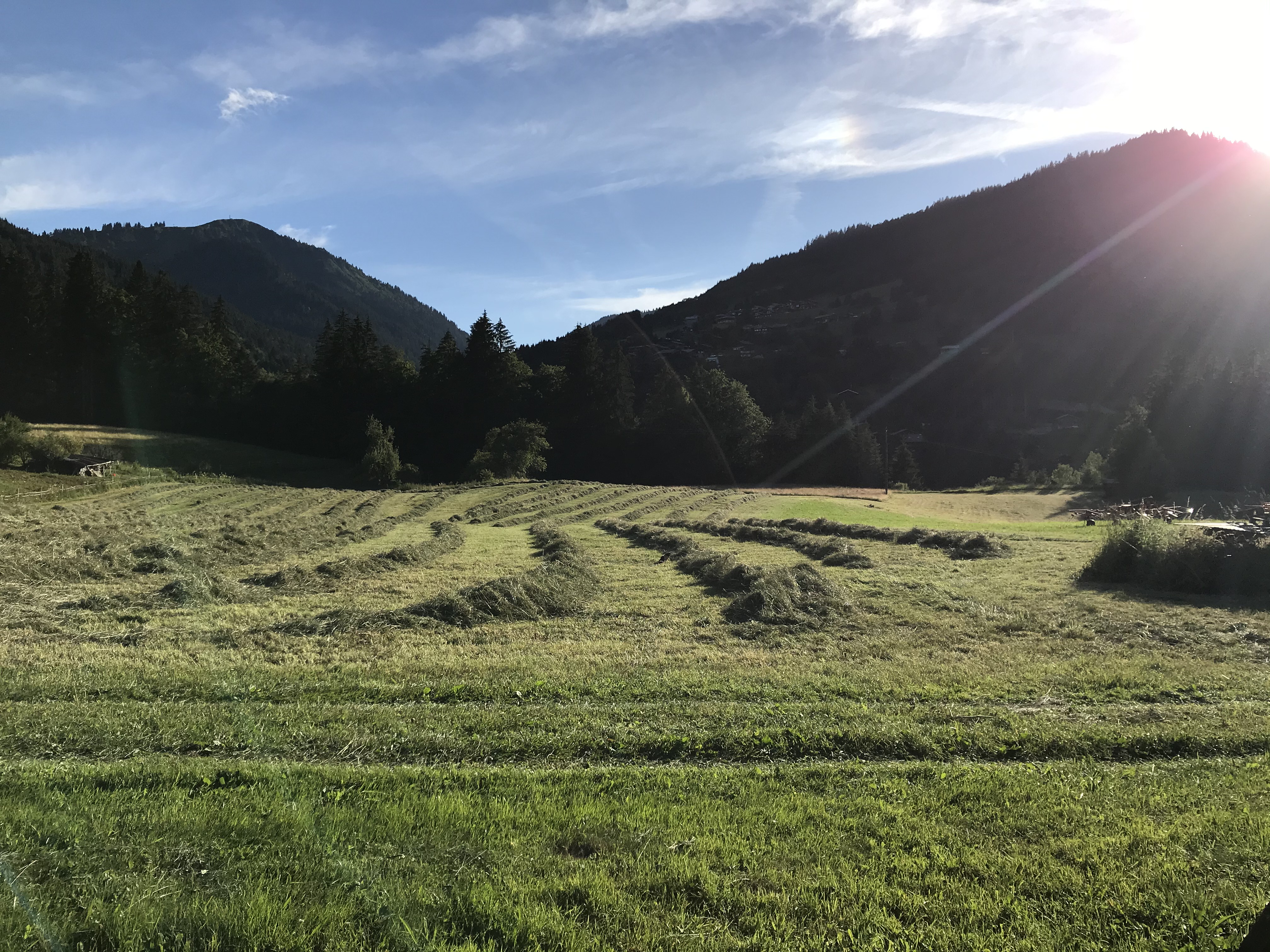 Vue nature — Chalet La Merlerie